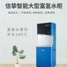 信挚 智能大型富氢水柜 二接水口/三接水口/四接水口